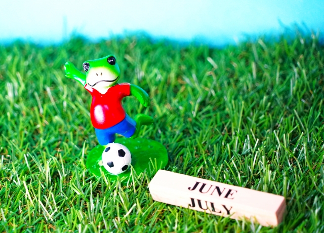 ワールドカップが始まりました⚽